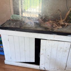 Reptile Tank & Accessories 