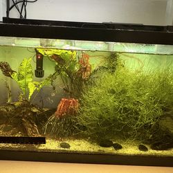 10gal fresh water tank and supplies