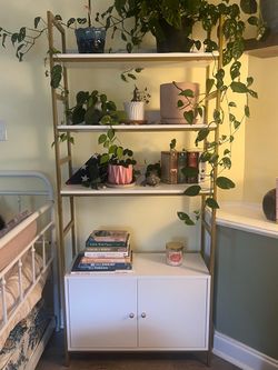 Bookshelf