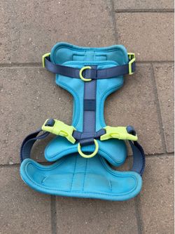 Wild One Dog Harness + Leash Set (Medium) – Blue/Green
