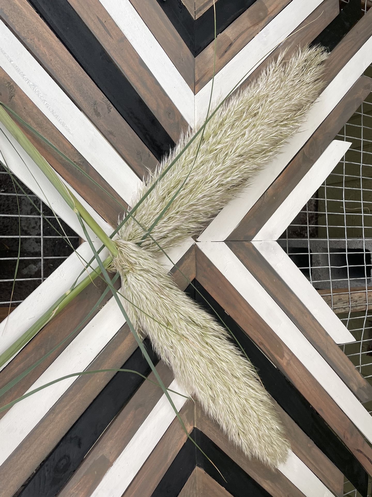 4-5’ PAMPAS GRASS PLUMES! Perfect Shape & Gorgeous!