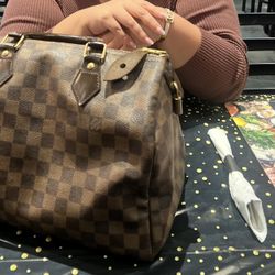 Louis Vuitton Purse Speedy 