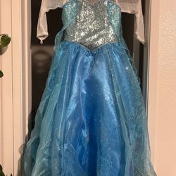 Elsa Dress 5-6t