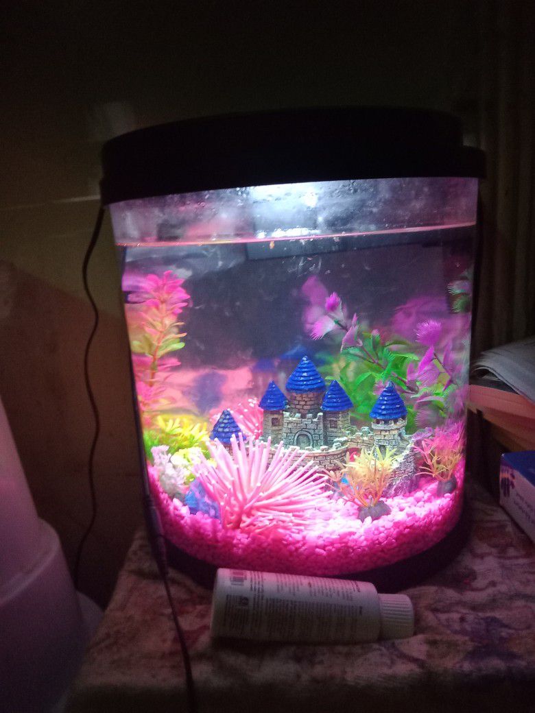 2.5 Gallon Fish Tank 