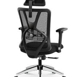 Supportive Ergonomic Computer Office Chair 