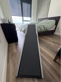 PetSafe Folding Dog Ramp – Great Condition
