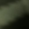 Joe