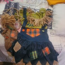 Scarecrow costume s/m