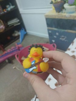 Duck