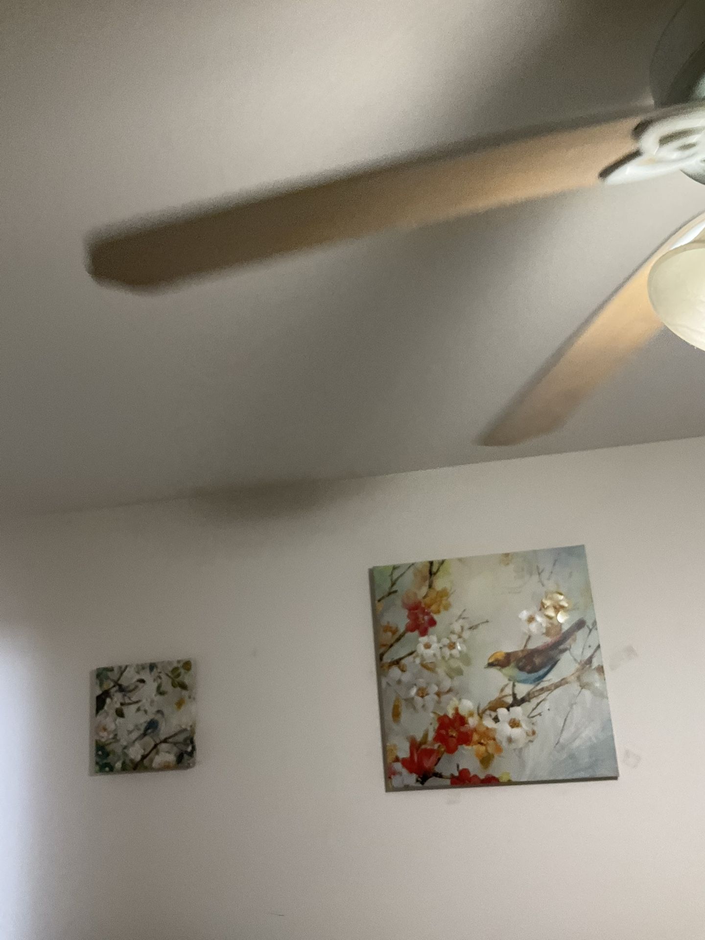 Artwork Set
