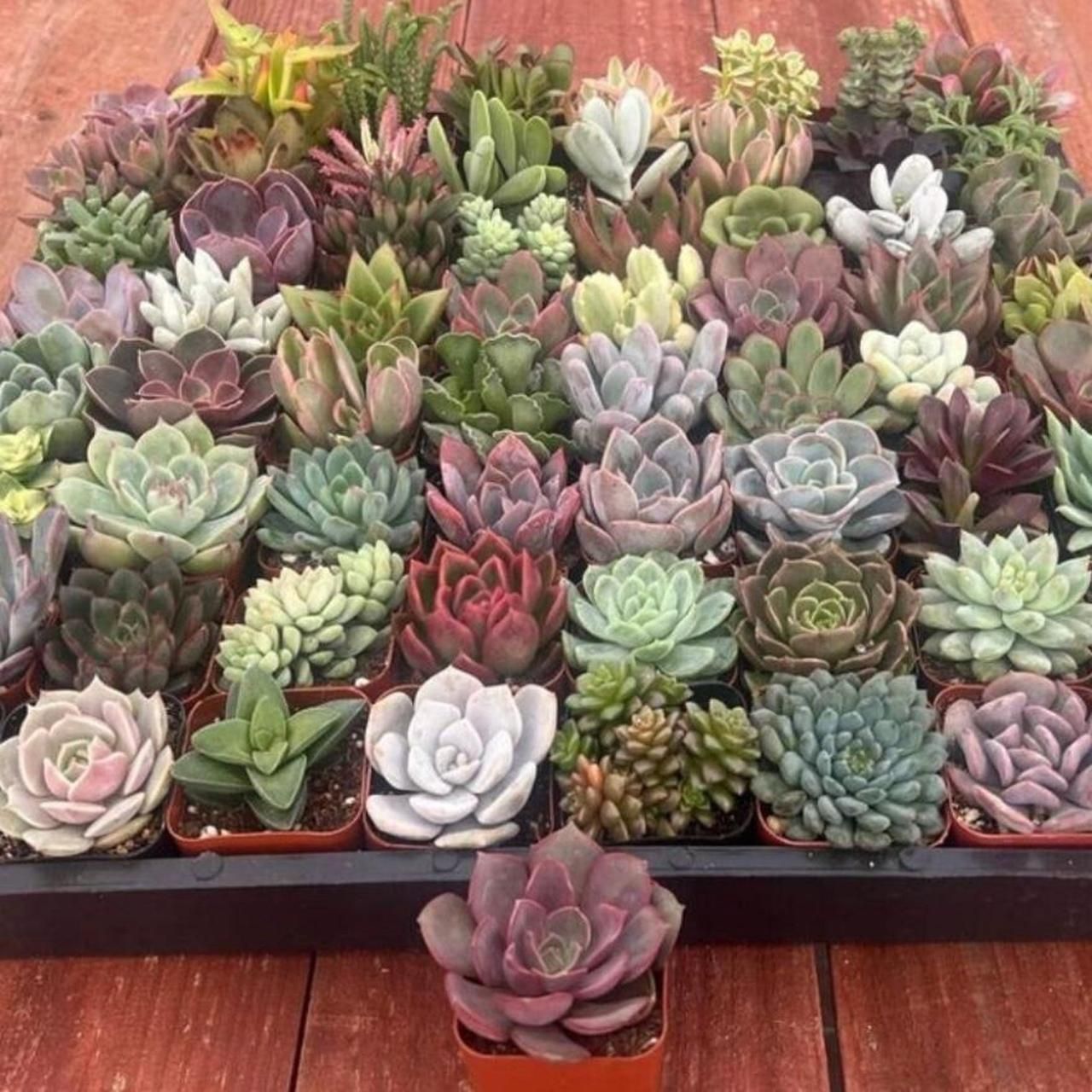 !M?ERFECT Multi Decor-home-decor (51)11