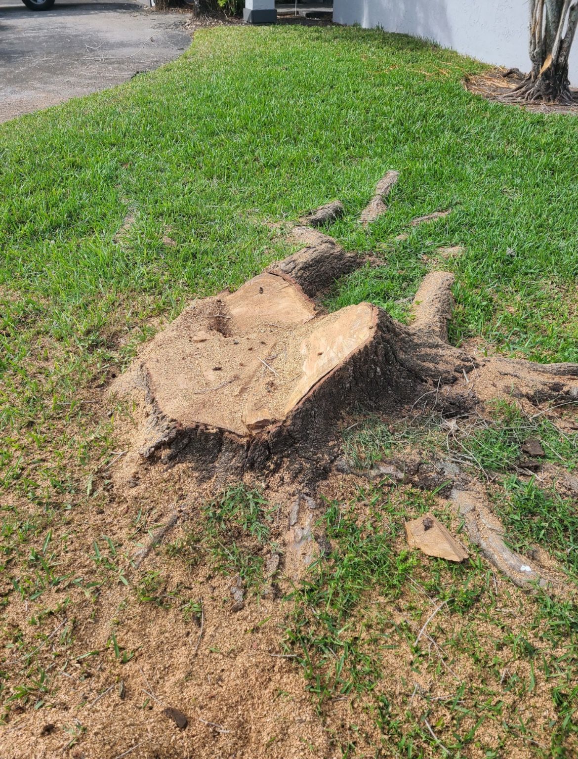 Stump Grinding