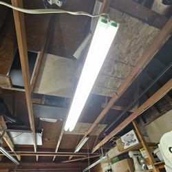 Linear Fluorescent Tube Light