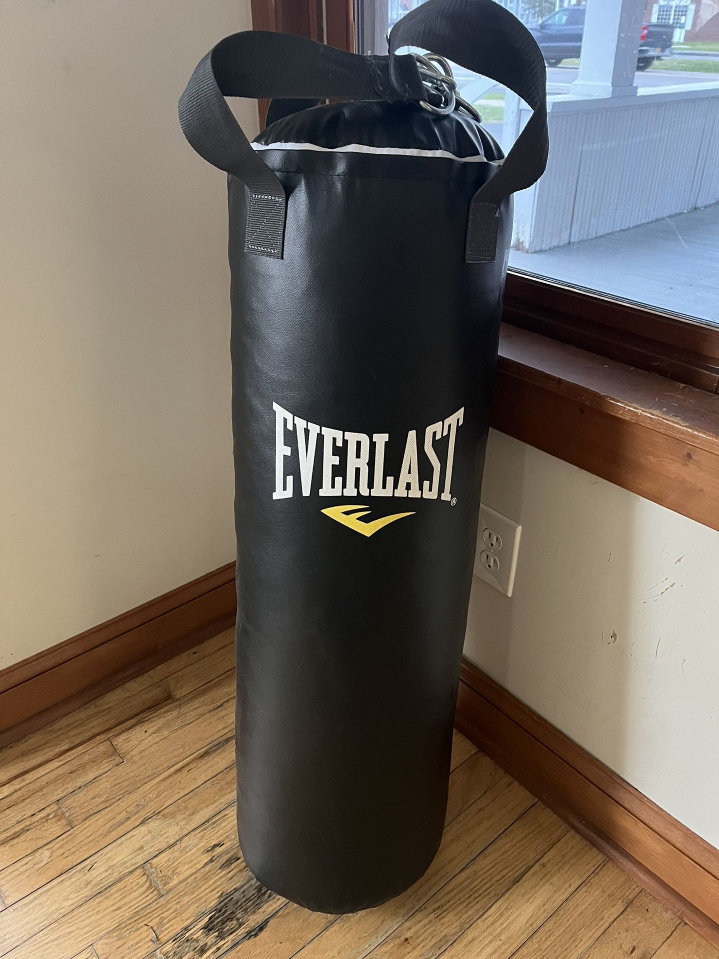 Everlast Punching Bag