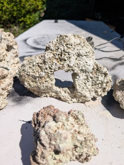 Saltwater Reef Base Rock
