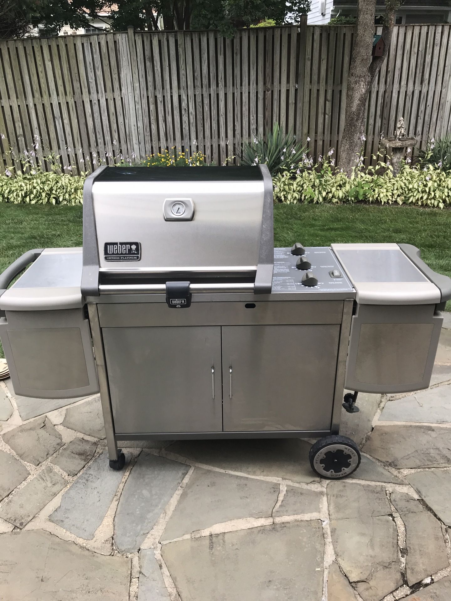 Weber Genesis Platinum propane grill