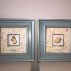 Framed Coastal Seashell Art