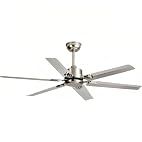 Stainless Steel Ceiling Fan (Outdoor or Indoor)