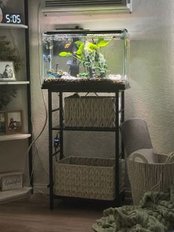 10 gallon fish tank & stand
