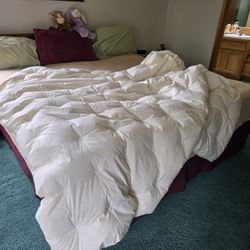 Down Comforter