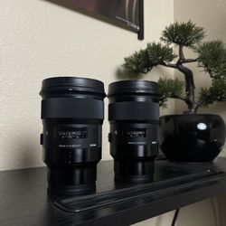Sigma 24mm & 50mm 1.4 | Sony Full Frame Lenses | 🔥🔥🔥🔥🔥