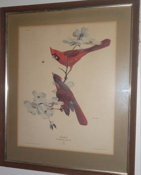 Ray Harm Original Frame And Photo From 1963. Rare And Vintage