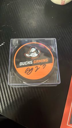 Duck Gameing hockey puck