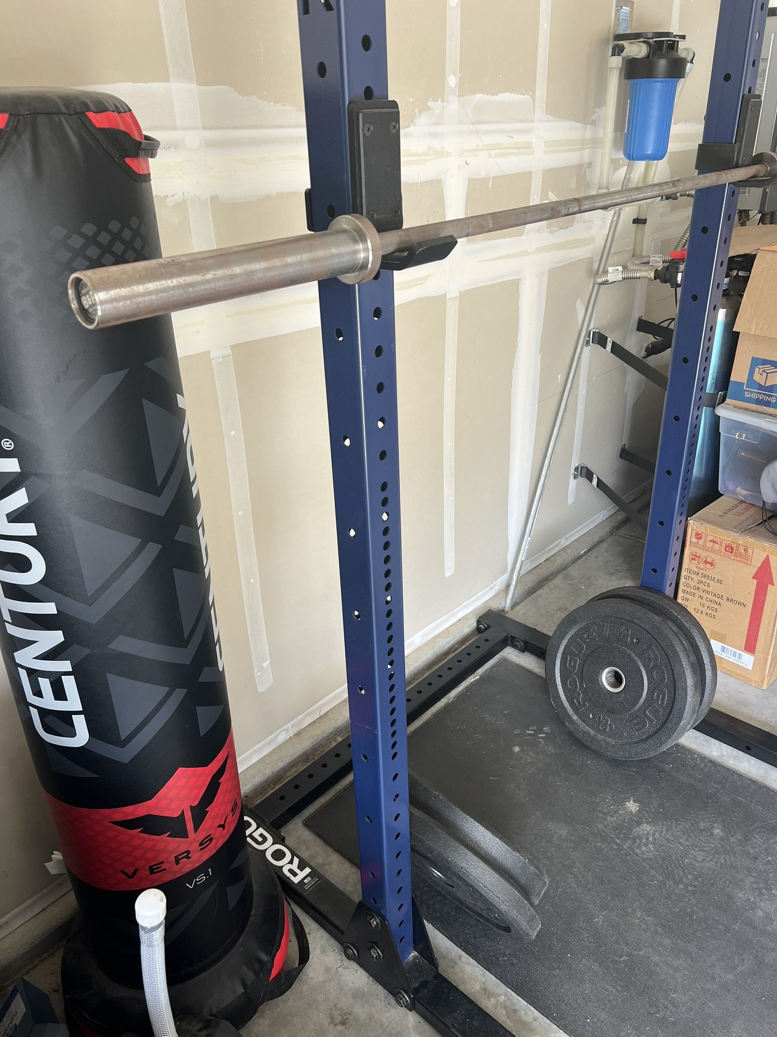 Rogue Squat Rack with Bumper Weights 