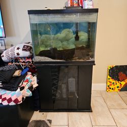 55 Cube Fish Tank