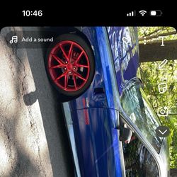 clean