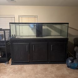 300 Gallon Fish Tank
