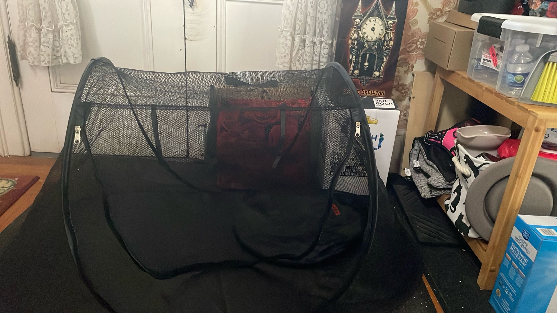 Cat Tent