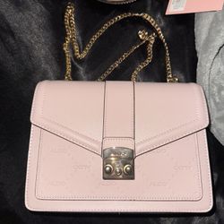 pink Aldo bag