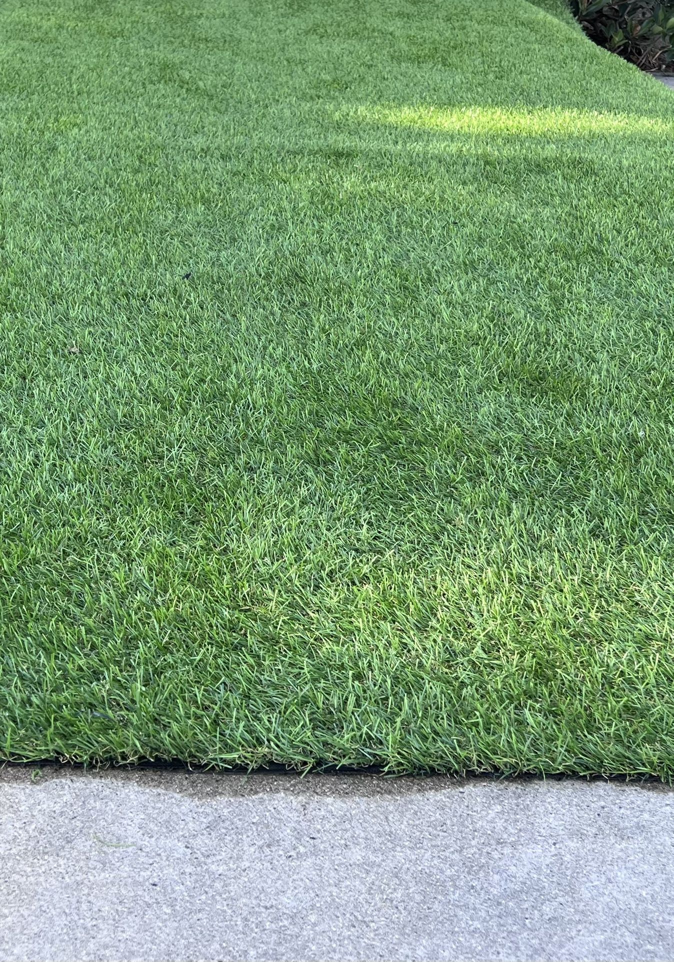 Artificial Turf