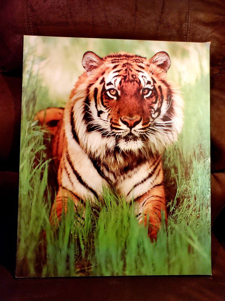 Tiger Painting 