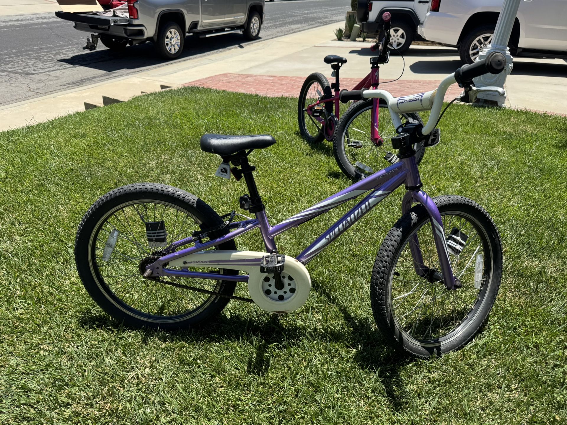 Specialized 20 Inch Girls BMX