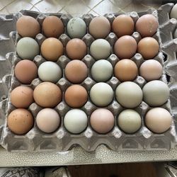 Eggs