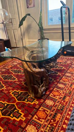 Tree root glass coffee table