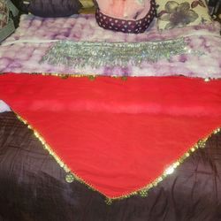 2 BELLY DANCING SKIRTS WHITE$10 RED NEW $20