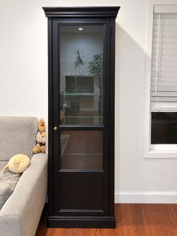 Black Glass Door Display Cabinet with Shelves
