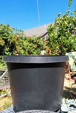20 Gal XL Poly Planter Pot w/ Free Insert! Approx 1 ft 5" tall
1 ft 9" across top, Cash, Marconi/80, Sacramento