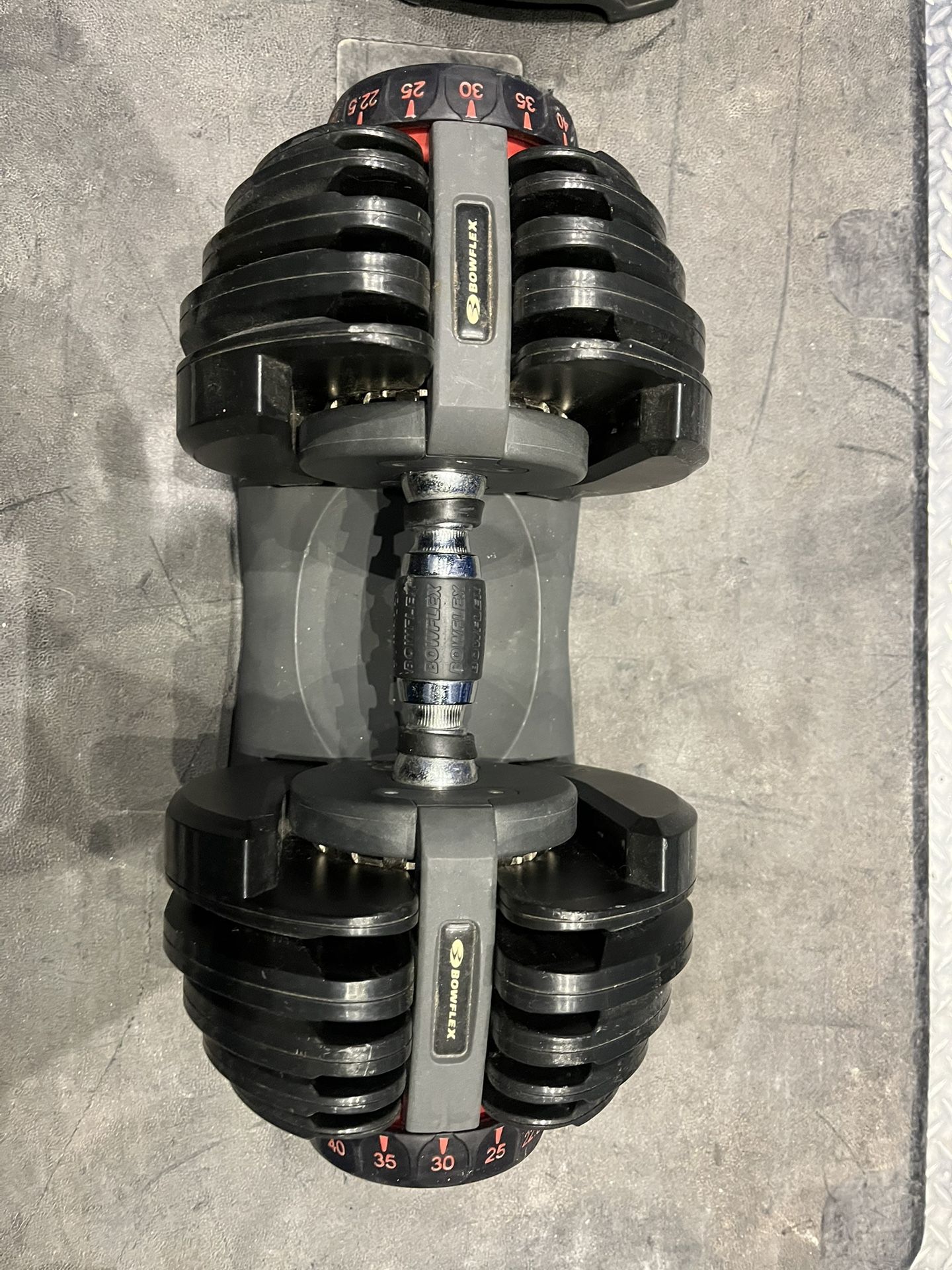 Bowflex Weights