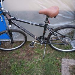 Schwinn Suburban Mountain Bike