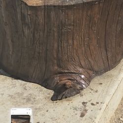 Tree Stump
