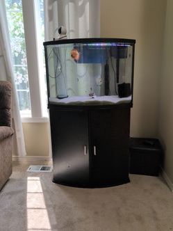 54G bowfront aquarium and supplies