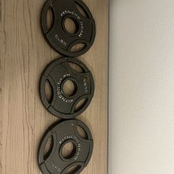 5 lb Weight Plates – Set of 3
