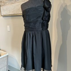 The Limited Dress Size 10
