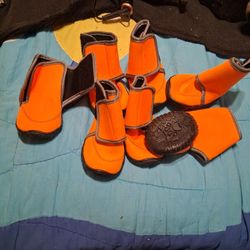 Dog Shoes ( Any Animal) 