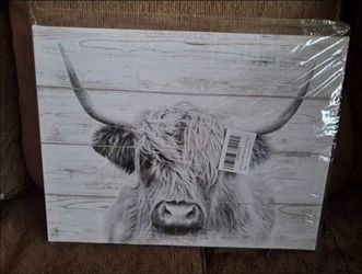 Highland Cow Canvas