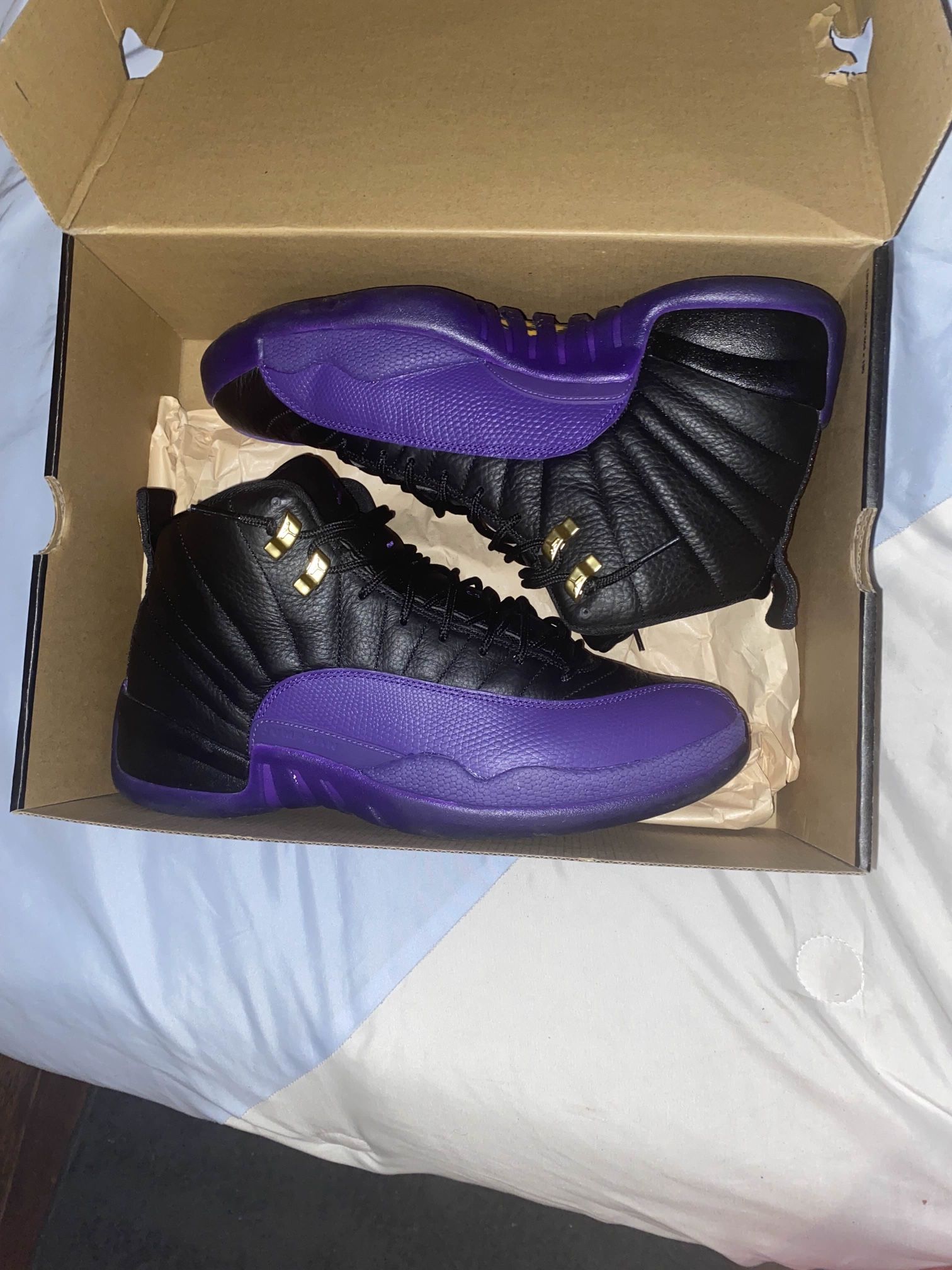 Purple Jordan 12s